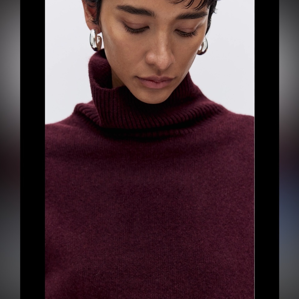 H&M Deep Burgundy Turtleneck Sweater